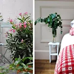Artisan Lofts Courtyard Opera * Paris